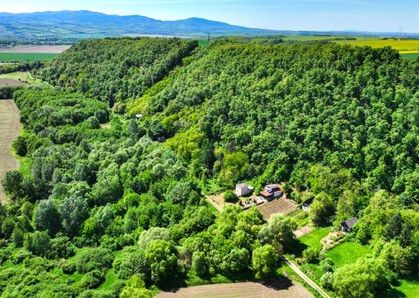 REZERVOVANÉ - Viničný dom s pozemkom 1060m2 Veľké Turovce