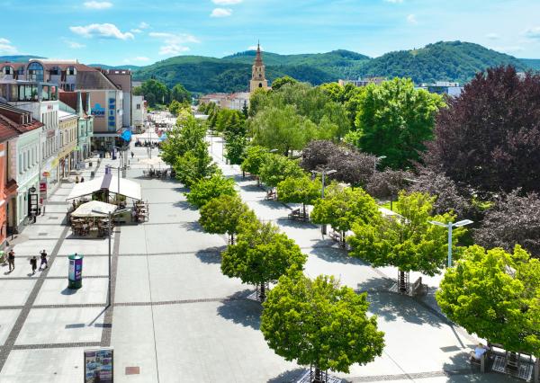 Viacúčelová historická budova 900m2 Zvolen Centrum