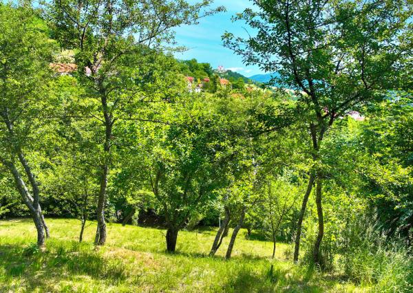 Slnečný, rekreačný pozemok 1250m2, centrum Banská Štiavnica
