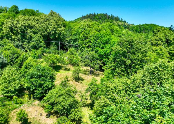 Slnečný, rekreačný pozemok 1250m2, centrum Banská Štiavnica