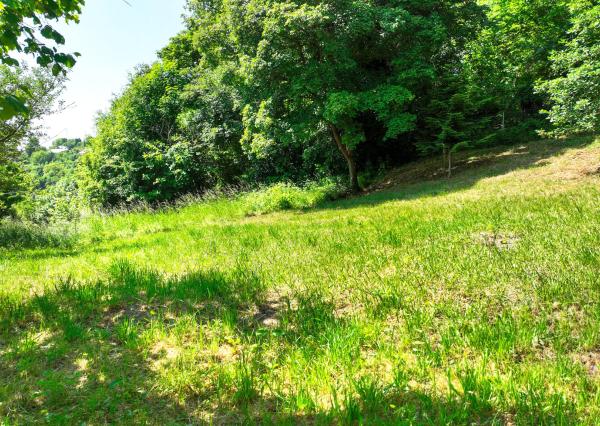 Slnečný, rekreačný pozemok 1250m2, centrum Banská Štiavnica