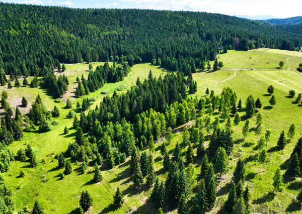 Stavebný pozemok 2.2ha v krásnom prostredí, Látky okr. Detva
