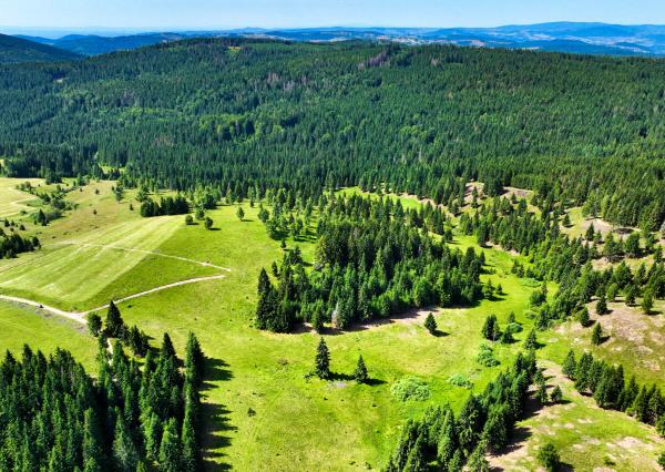 Stavebný pozemok 2.2ha v krásnom prostredí, Látky okr. Detva