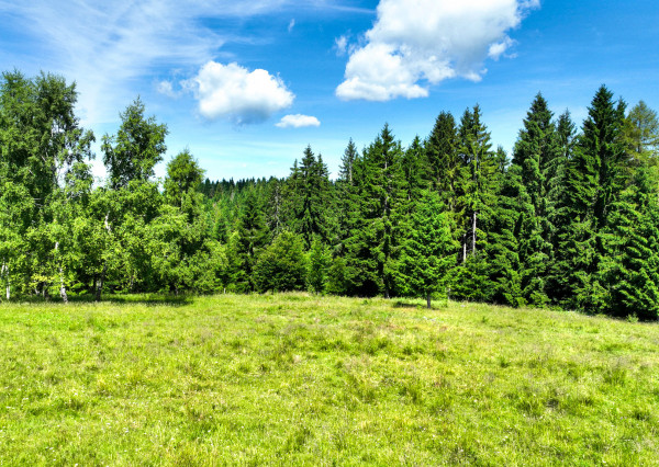Stavebný pozemok 2.2ha v krásnom prostredí, Látky okr. Detva