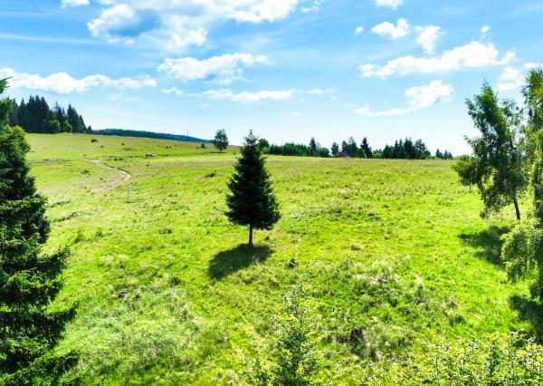 Stavebný pozemok 2.2ha v krásnom prostredí, Látky okr. Detva