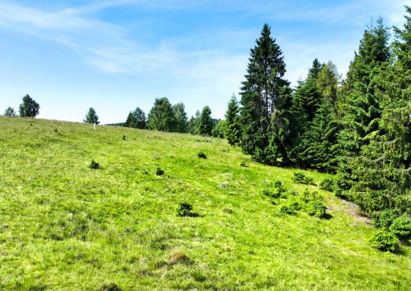 Stavebný pozemok 2.2ha v krásnom prostredí, Látky okr. Detva