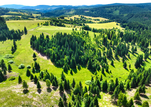 Stavebný pozemok 2.2ha v krásnom prostredí, Látky okr. Detva