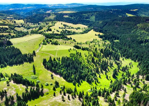 Stavebný pozemok 2.2ha v krásnom prostredí, Látky okr. Detva