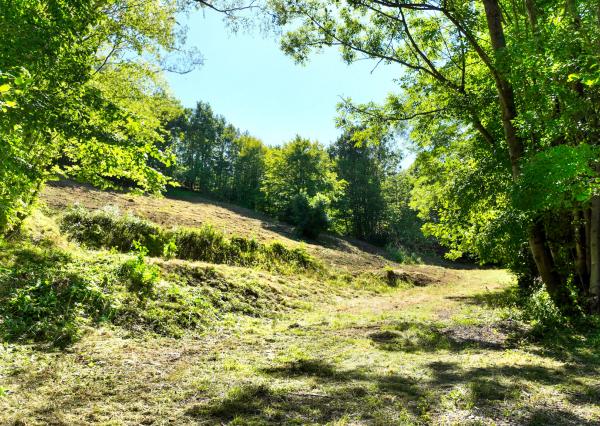 Pozemok so stavebným povolením, 2781m2 - Banská Štiavnica