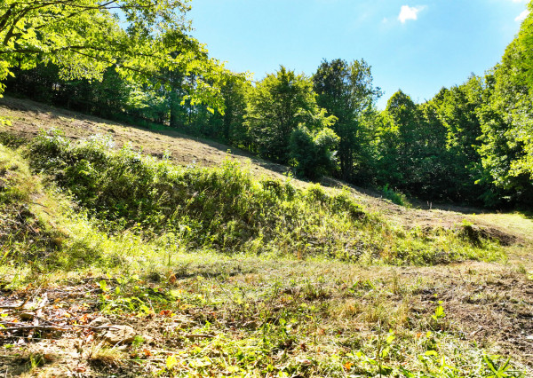 Pozemok so stavebným povolením, 2781m2 - Banská Štiavnica