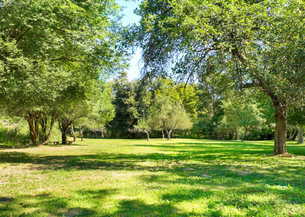 REZERVOVANÉ - Vidiecka usadlosť s pozemkom 6738m2, Šipice