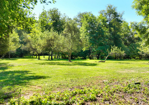 REZERVOVANÉ - Vidiecka usadlosť s pozemkom 6738m2, Šipice