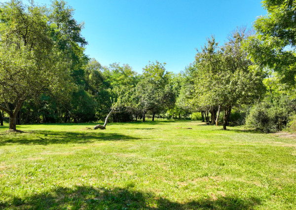 REZERVOVANÉ - Vidiecka usadlosť s pozemkom 6738m2, Šipice