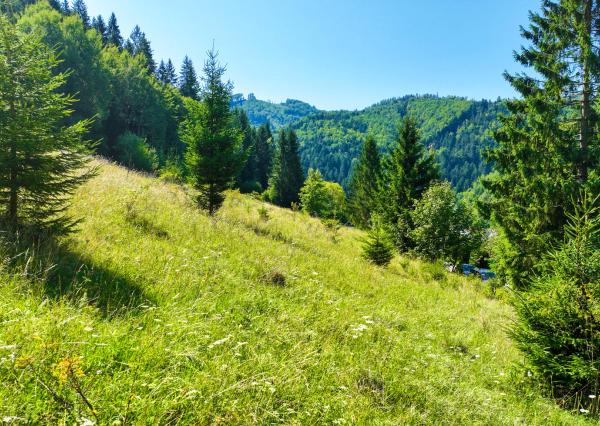Stavebný pozemok 1550m2 v obci Baláže, Banská Bystrica