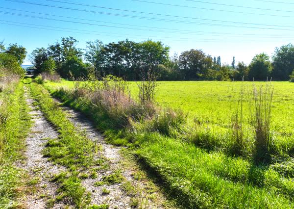 18 500m2 pozemok pre výstavbu rodinných domov, Leopoldov