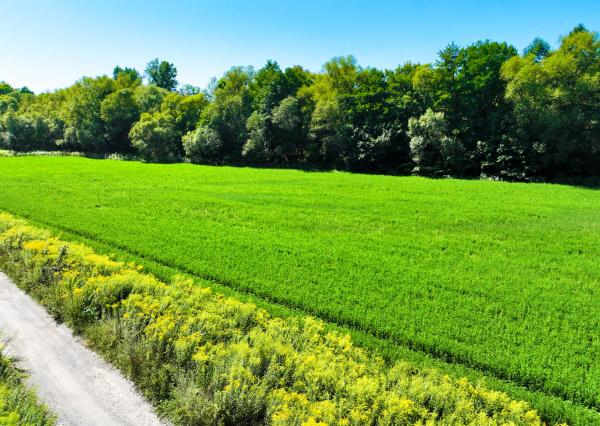 Investičný pozemok 6000m2 Banská Bystrica - Iliaš
