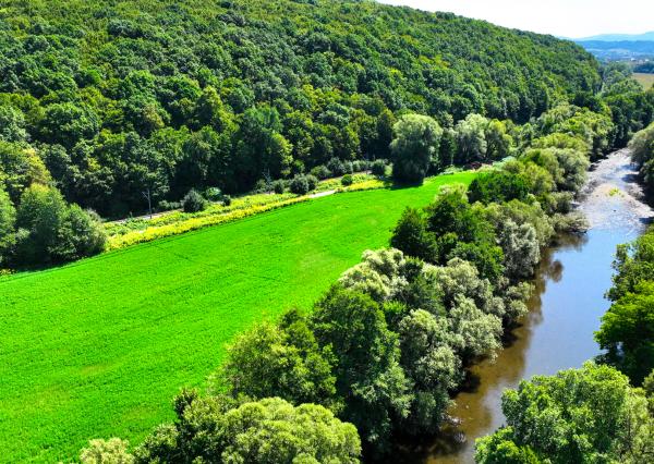 Investičný pozemok 6000m2 Banská Bystrica - Iliaš