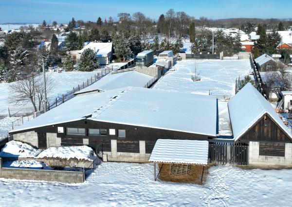 Zabehnutá menšia farma s pozemkom 3800m2 Želiezovce