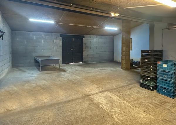 Zabehnutá menšia farma s pozemkom 3800m2 Želiezovce