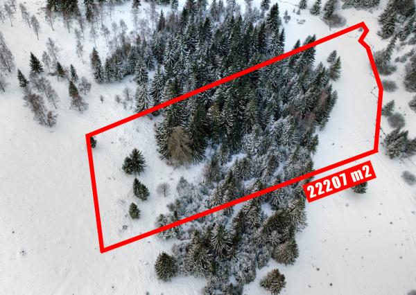 Pozemok so stavebným povolením 22200m2, Látky okr. Detva