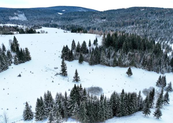 Pozemok so stavebným povolením 22200m2, Látky okr. Detva