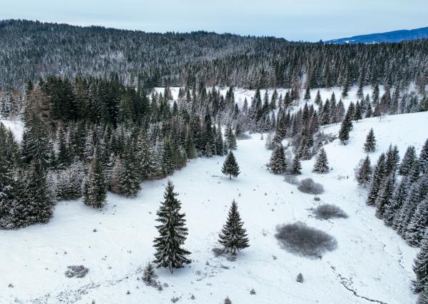 Pozemok so stavebným povolením 22200m2, Látky okr. Detva