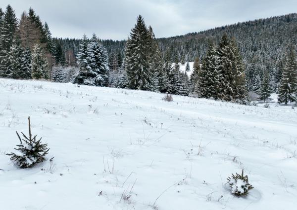 Pozemok so stavebným povolením 22200m2, Látky okr. Detva