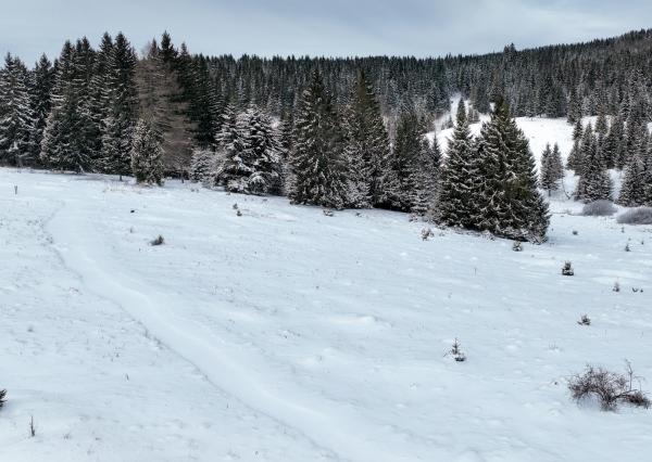 Pozemok so stavebným povolením 22200m2, Látky okr. Detva