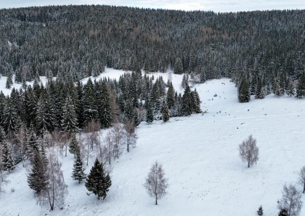 Pozemok so stavebným povolením 22200m2, Látky okr. Detva