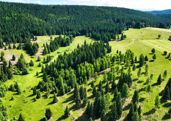 Pozemok so stavebným povolením 22200m2, Látky okr. Detva