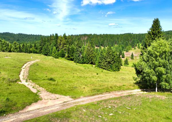 Pozemok so stavebným povolením 22200m2, Látky okr. Detva