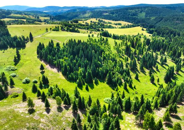 Pozemok so stavebným povolením 22200m2, Látky okr. Detva
