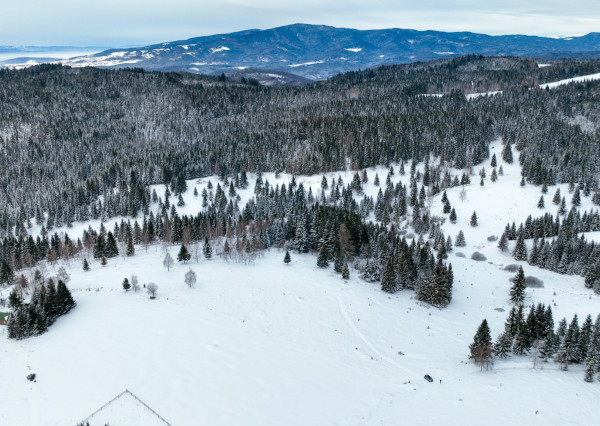 Pozemok so stavebným povolením 22200m2, Látky okr. Detva
