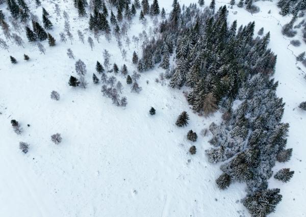 Pozemok so stavebným povolením 22200m2, Látky okr. Detva