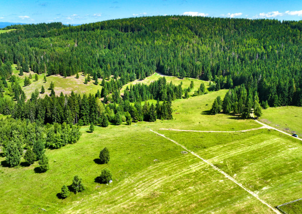 Pozemok so stavebným povolením 22200m2, Látky okr. Detva