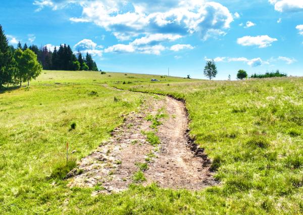 Pozemok so stavebným povolením 22200m2, Látky okr. Detva