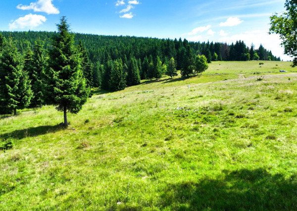 Pozemok so stavebným povolením 22200m2, Látky okr. Detva
