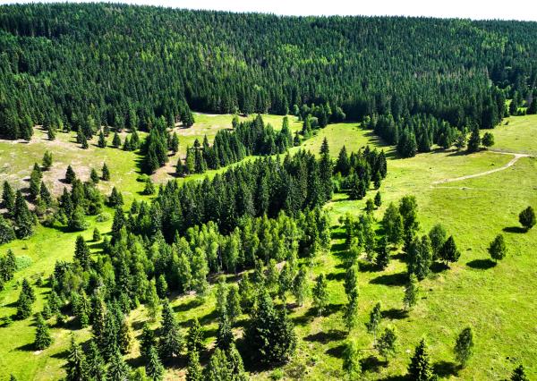 Pozemok so stavebným povolením 22200m2, Látky okr. Detva