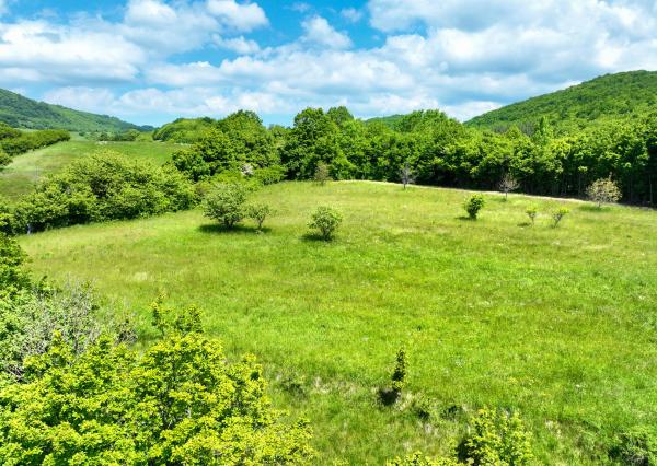 Rovinatý, slnečný pozemok s možnosťou stavby, Banská Belá