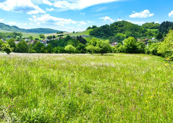 Rovinatý, slnečný pozemok s možnosťou stavby, Banská Belá
