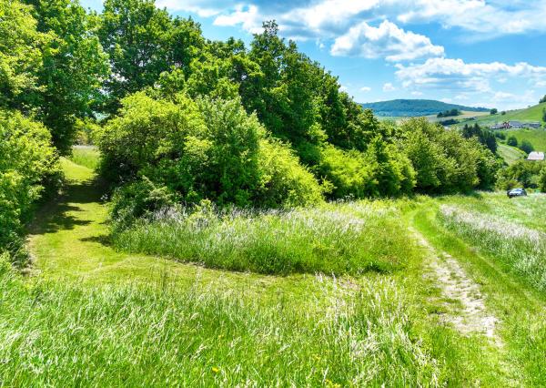 Rovinatý, slnečný pozemok s možnosťou stavby, Banská Belá