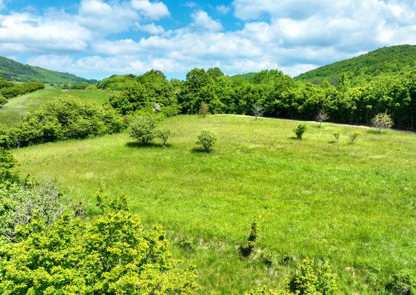 Rovinatý, slnečný pozemok s možnosťou stavby, Banská Belá