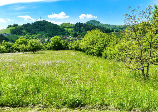 Rovinatý, slnečný pozemok s možnosťou stavby, Banská Belá