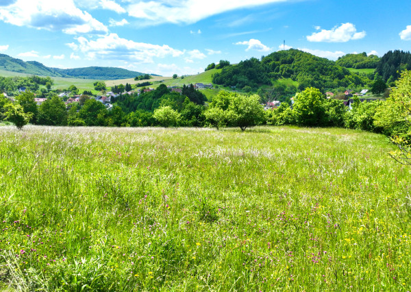 Rovinatý, slnečný pozemok s možnosťou stavby, Banská Belá