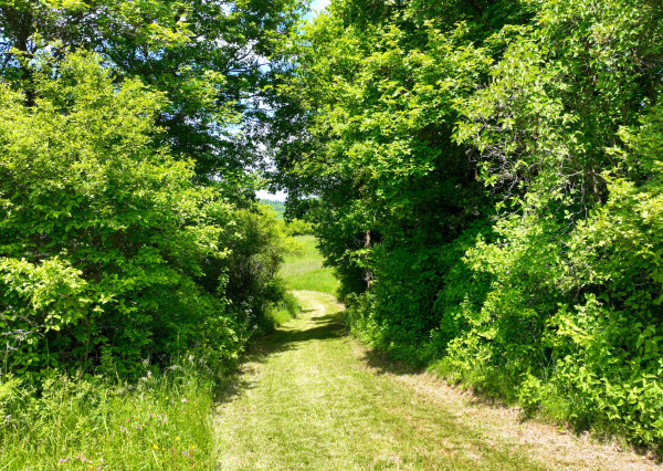 Rovinatý, slnečný pozemok s možnosťou stavby, Banská Belá