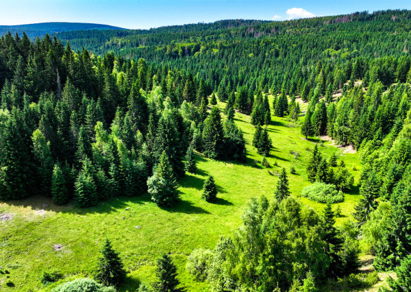 Pozemok so stavebným povolením 22200m2, Látky okr. Detva