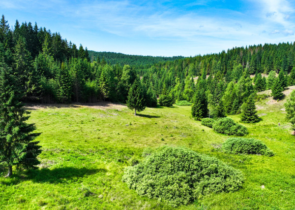 Pozemok so stavebným povolením 22200m2, Látky okr. Detva