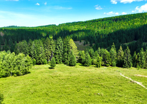 Pozemok so stavebným povolením 22200m2, Látky okr. Detva