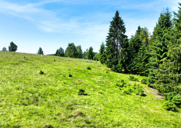 Pozemok so stavebným povolením 22200m2, Látky okr. Detva