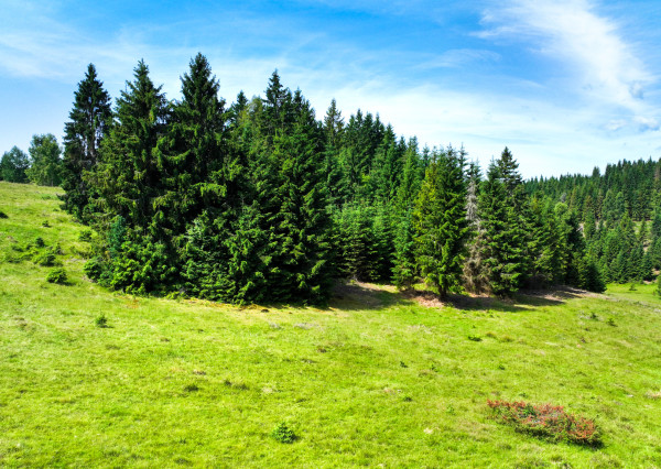 Pozemok so stavebným povolením 22200m2, Látky okr. Detva